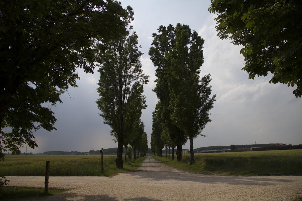 Locanda Abbazia Di Valserena - Csac Парма Екстериор снимка